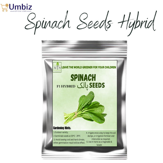 Spinach (Palak) Vegetables Seeds - Seeds Vegetables Packet - Excellent Germination - Healthy Vegetable