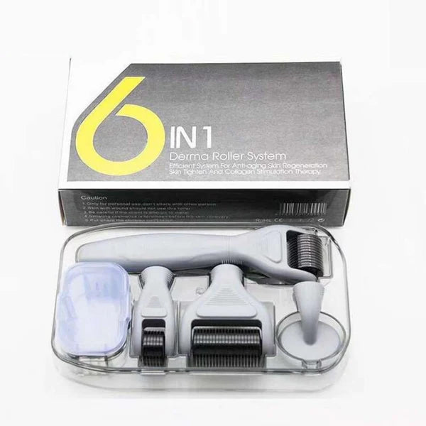6 in 1 Derma Roller