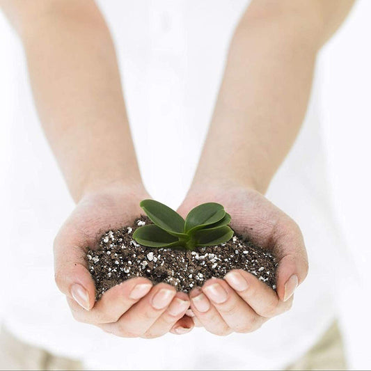 Gardening Potting Mix 1 KG Bag (USA IMPORTED) Potting Soil Mix For Plants - Seedling Soil - 8qts for Indoor and Outdoor Use, Great for Veggies, Herbs, and Plants Umbiz