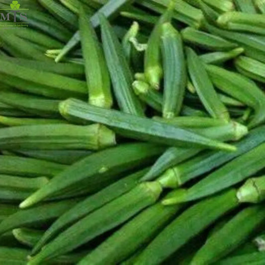 Top Quality Fresh Hybrid Lady Finger Seeds - Easy to Grow, High Nutrition Umbiz