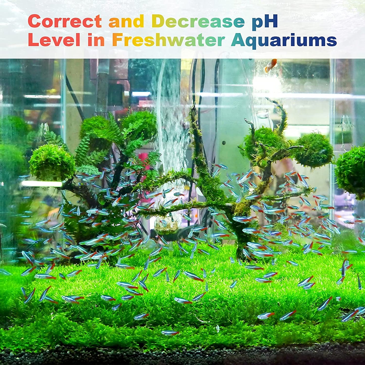 Original PH up PH down kit General Hydroponics (USA IMPORTED GUARANTEED) 100ml each bottle Umbiz