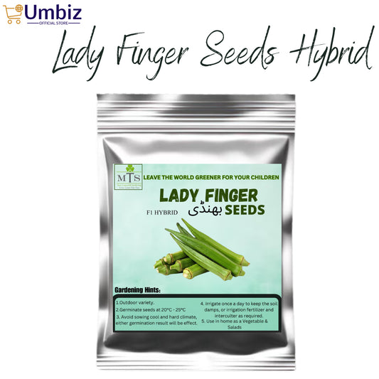 Top Quality Fresh Hybrid Lady Finger Seeds - Easy to Grow, High Nutrition Umbiz