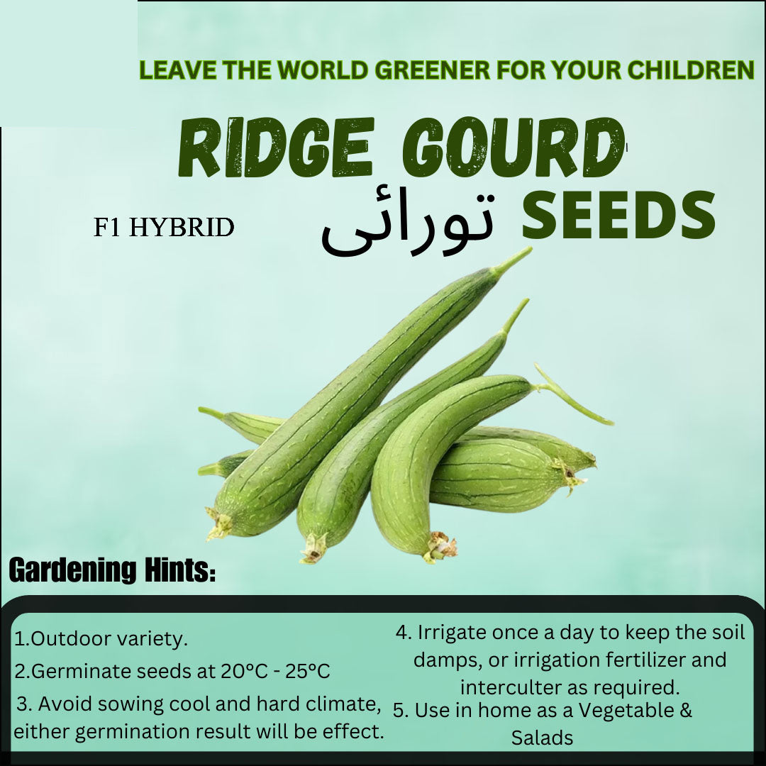 Top Quality Hybrid Torayi Seeds - Easy to Grow, High Nutrition Umbiz