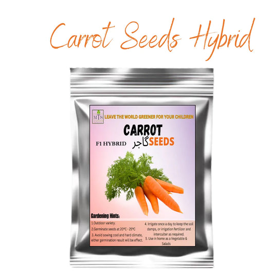 Top Quality Hybrid Carrot Seeds - Easy to Grow, High Nutrition UMBIZ