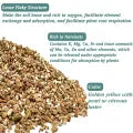 Vermiculite for Plants – Natural Soil Amendment for Improved Aeration, Water Retention, and Root Growth | Organic Gardening, Potting Mix, and Seed Starter Essential Umbiz