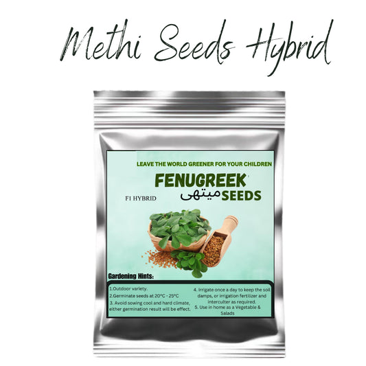 Top Quality Fresh Hybrid Fenugreek (Methi) Seeds - Easy to Grow, High Nutrition UMBIZ