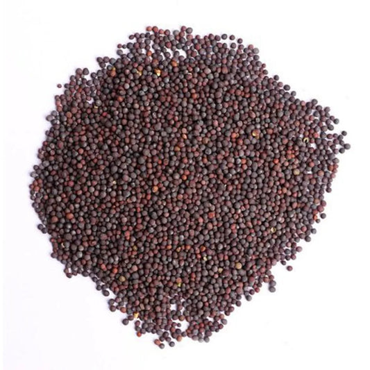 Mustard (Sarsoon) Vegetables Seeds - Seeds Vegetables Packet - Excellent Germination - Healthy Vegetable