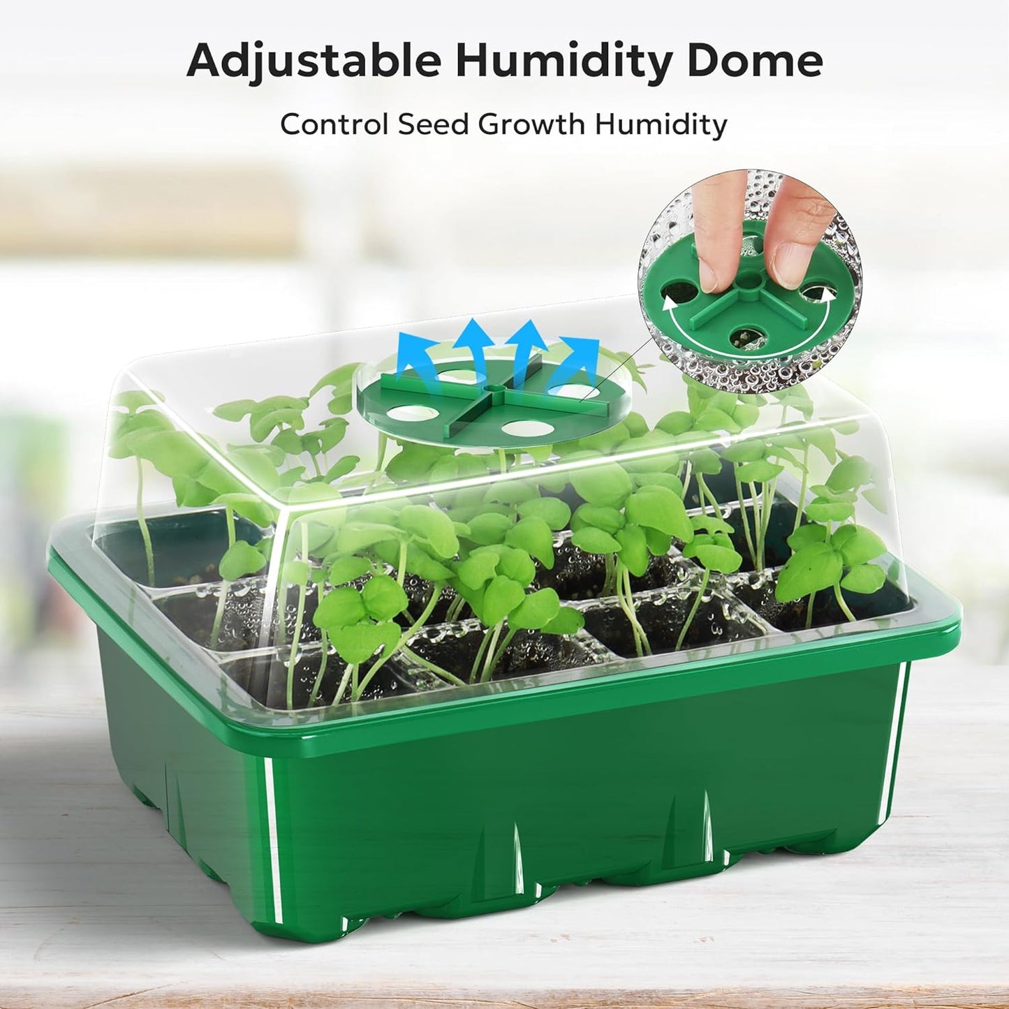 Seedling Tray Sprout Plate 12 Holes Nursery Pots Tray Lids Box (Imported Quality) UMBIZ