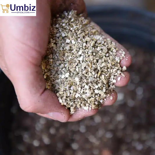Vermiculite for Plants – Natural Soil Amendment for Improved Aeration, Water Retention, and Root Growth | Organic Gardening, Potting Mix, and Seed Starter Essential Umbiz