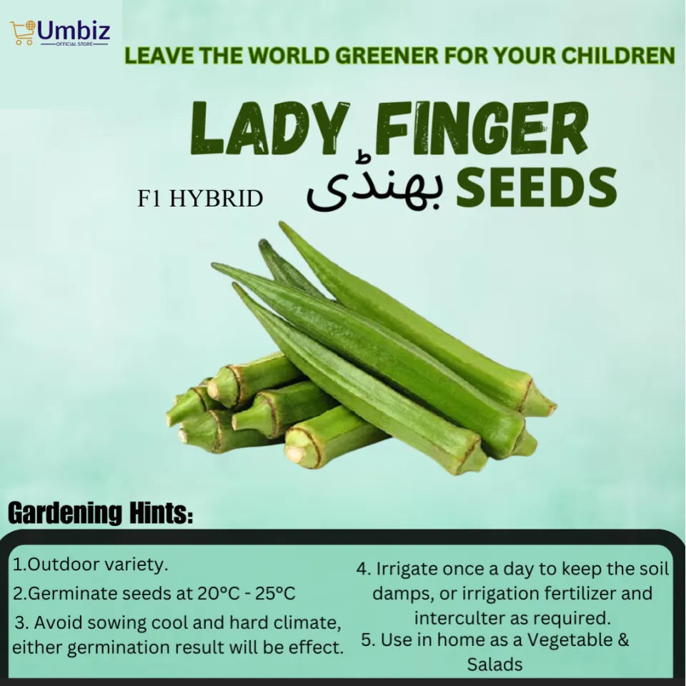 Top Quality Fresh Hybrid Lady Finger Seeds - Easy to Grow, High Nutrition Umbiz