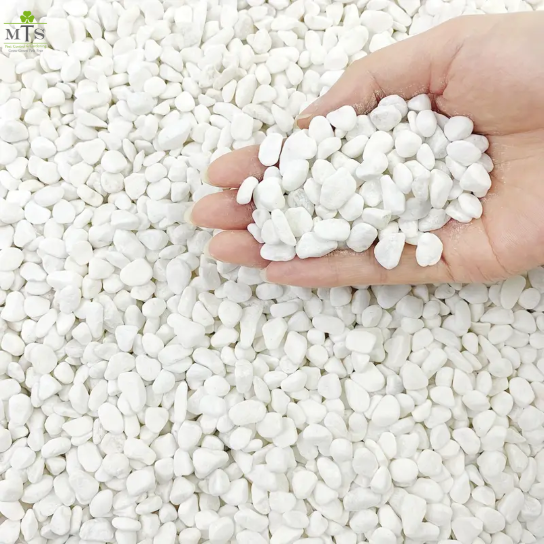 White Decorative Stones for Garden – Premium Landscaping Pebbles for Pathways, Flower Beds, and Outdoor Decor | Natural Polished Stones for Aesthetic Appeal Umbiz