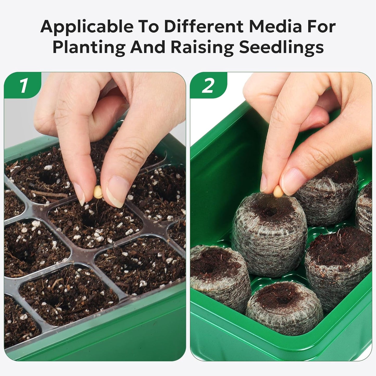 Seedling Tray Sprout Plate 12 Holes Nursery Pots Tray Lids Box (Imported Quality) UMBIZ