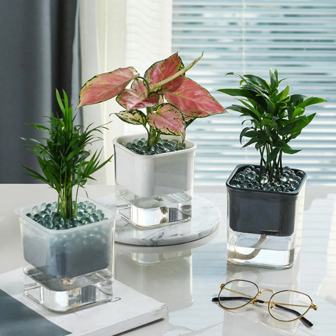 Self Watering Pots for Indoor & Outdoor Plants -Square Shape Elegant Design - Home Decor (Pack Of 1) Umbiz