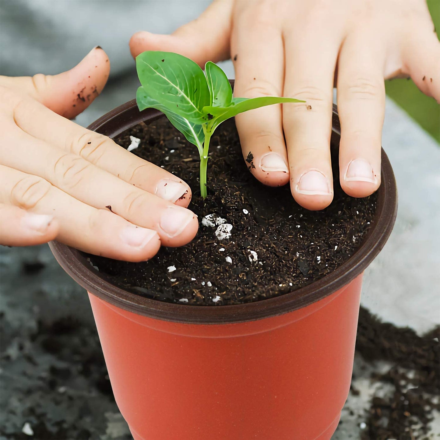 10Pcs Paper Plastic Flowerpot Flower Nursery Pots Garden Seedling Planter Container(DEPTH 3 INCHES-LENGTH 4 INCHES -WIDHT 4 INCHES) Umbiz