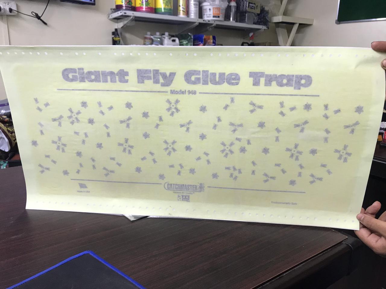 Giant Fly Glue Trap with Attractant 2x1ft (USA IMPORTED) Umbiz