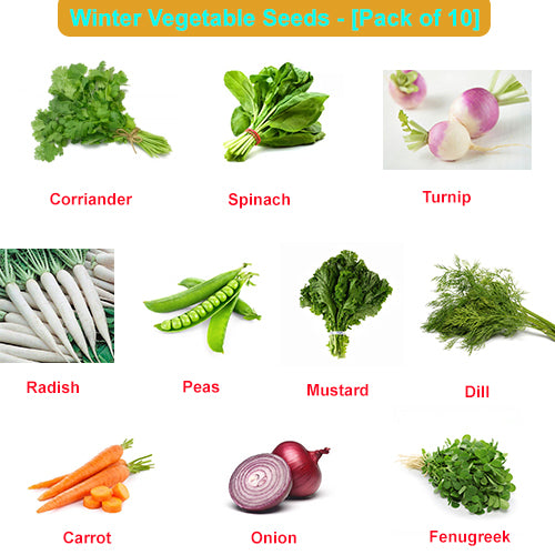 Winter Vegetables Seeds (Pack Of 10) Seeds Vegetables Packet - Excellent Germination - Healthy Vegetable Umbiz