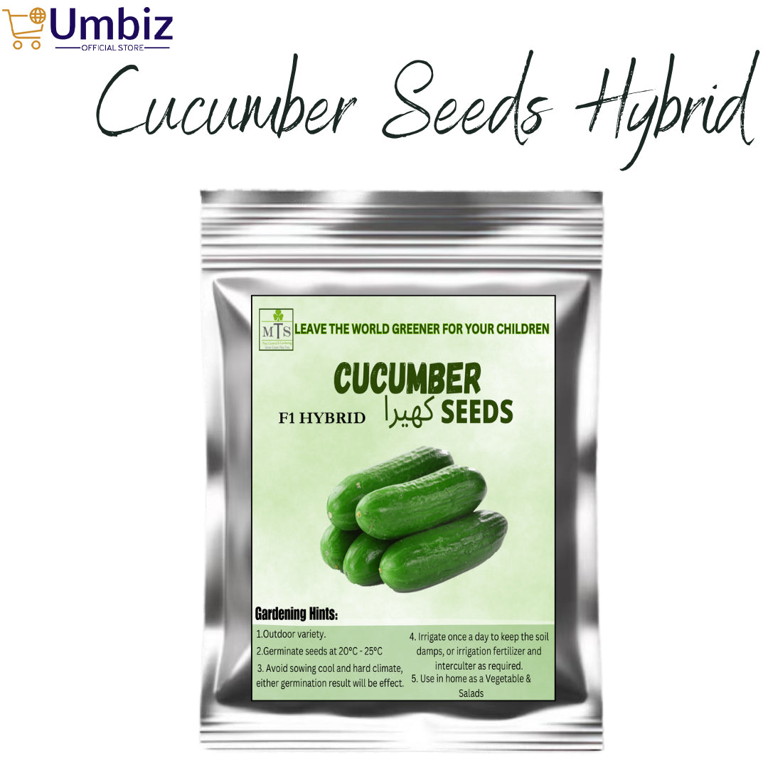 Top Quality Fresh Hybrid Cucumber Seeds - Easy to Grow, High Nutrition Umbiz