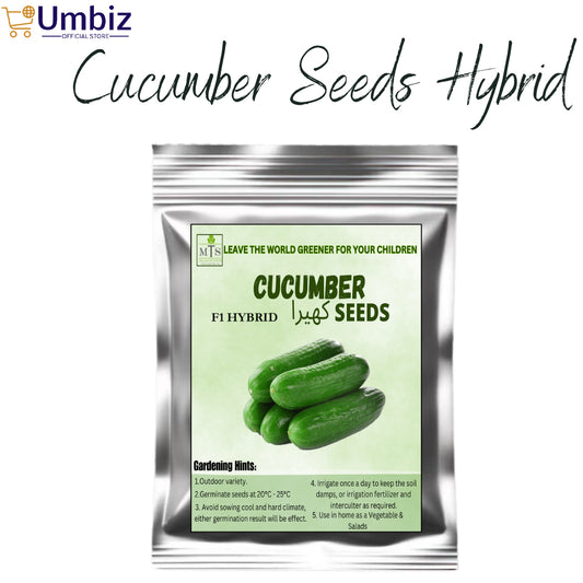 Hybrid Cucumber Seeds ( Kheera ) – Fresh, High Yield & Fast Growing Vegetable Seeds | Disease-Resistant, Easy to Grow, Quick Germination | Ideal for Home & Kitchen Garden, Pickling, Salads, Organic, Full Sun, Early Harvest, Continuous Yield Umbiz