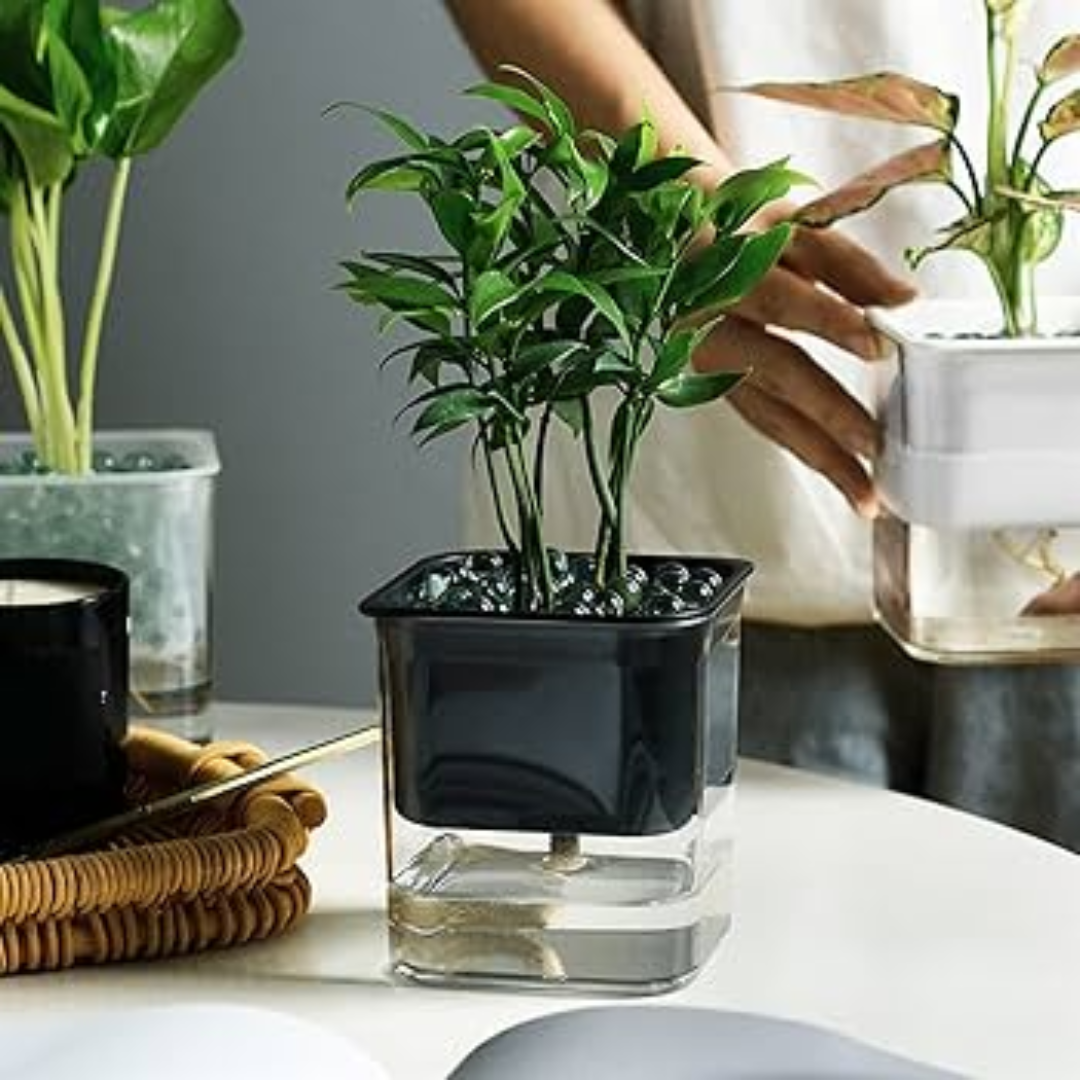 Self Watering Pots for Indoor & Outdoor Plants -Square Shape Elegant Design - Home Decor (Pack Of 1) Umbiz