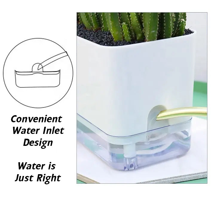 Self-Watering Pots for Indoor & Outdoor Plants -Square Shape Elegant Design - Home Decor (Pack Of 1) *Plant not included* Umbiz