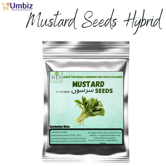 Hybrid Mustard Seeds – ( Sarson beej ) | Fresh, High Yield & Fast Growing Vegetable Seeds | Easy to Grow, Quick Germination, Dual-Purpose Mustard Greens & Seeds | Organic, Nutrient-Rich, Cool Season Seeds for Kitchen Garden, Salad & Farming UMBIZ STORE