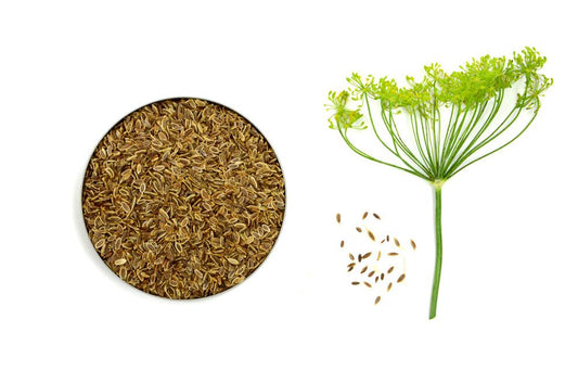 Dill (Soya) Vegetables Seeds - Seeds Vegetables Packet - Excellent Germination - Healthy Vegetable Umbiz