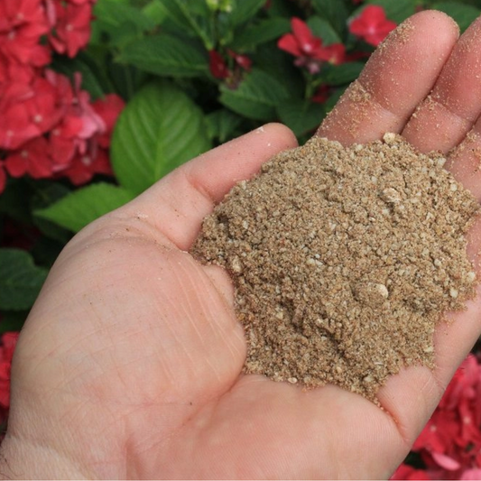 WESTLAND Fish Blood Bone Meal 1&5 KG Pack With Free Gift - Organic Soil Fertilizer For Plants - Promotes Healthy & Strong Root System Development (100% Organic) Umbiz