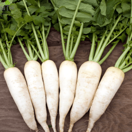 Top Quality Hybrid Raddish Seeds - Easy to Grow, High Nutrition Umbiz