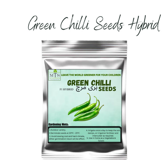 Top Quality Fresh Hybrid Green Chilli Seeds - Easy to Grow, High Nutrition Umbiz