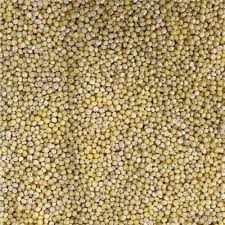 Pearl Millet , Millet Seeds , Bajra , Birds feed,Birds food,Seed for Canaries , Finches ,Waxbills, Budgies, Lovebirds cocktail,mascaw, raw, cockatoo Alexandrine parakeet,Parrots, Australian parrots,raw,ringneck and Other similar birds, 0.10 Kg, 100g