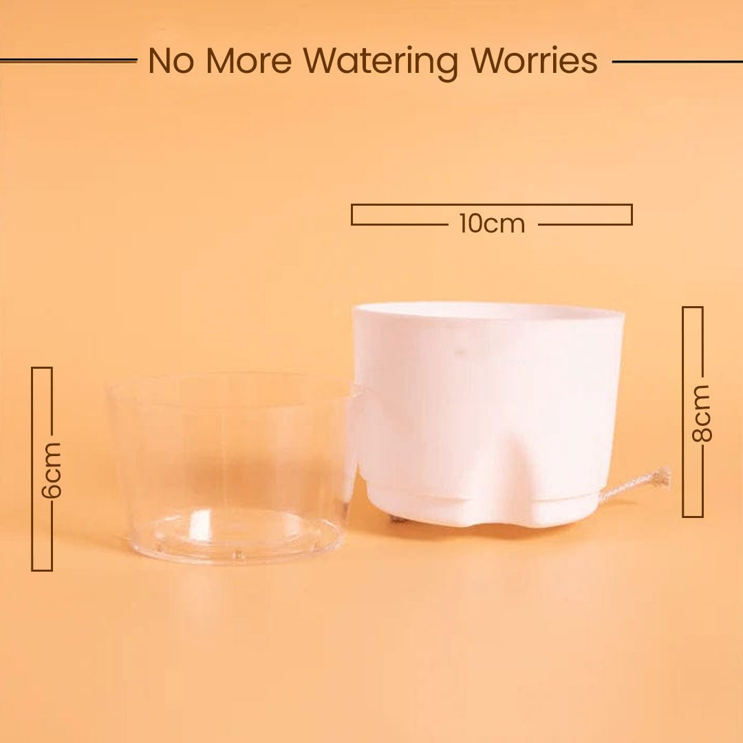 Set of 3 Self Watering Pots (Without Plant)