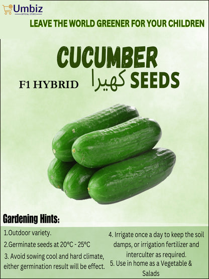 Top Quality Fresh Hybrid Cucumber Seeds - Easy to Grow, High Nutrition Umbiz