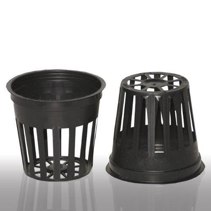 Net Cups for Hydroponics 2 Inch ( PACK OF 10) Umbiz