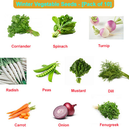 Winter Vegetables Seeds (Pack Of 10) Seeds Vegetables Packet - Excellent Germination - Healthy Vegetable Umbiz