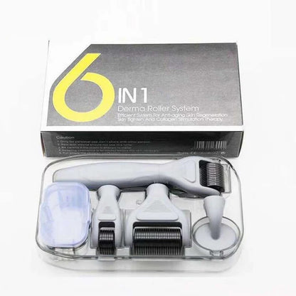 6 in 1 Derma Roller