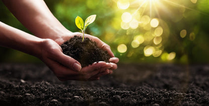 PEAT MOSS BLACK GOLD WITH PERLITE 1kg BAG IMPORTED Umbiz