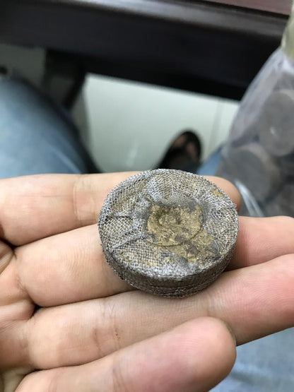 Peat Pellets Indoor Seed Starter (USA IMPORTED) PACK OF 5 UMBIZ