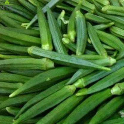 Top Quality Fresh Hybrid Lady Finger Seeds - Easy to Grow, High Nutrition Umbiz