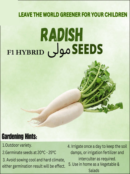 Top Quality Hybrid Raddish Seeds - Easy to Grow, High Nutrition Umbiz