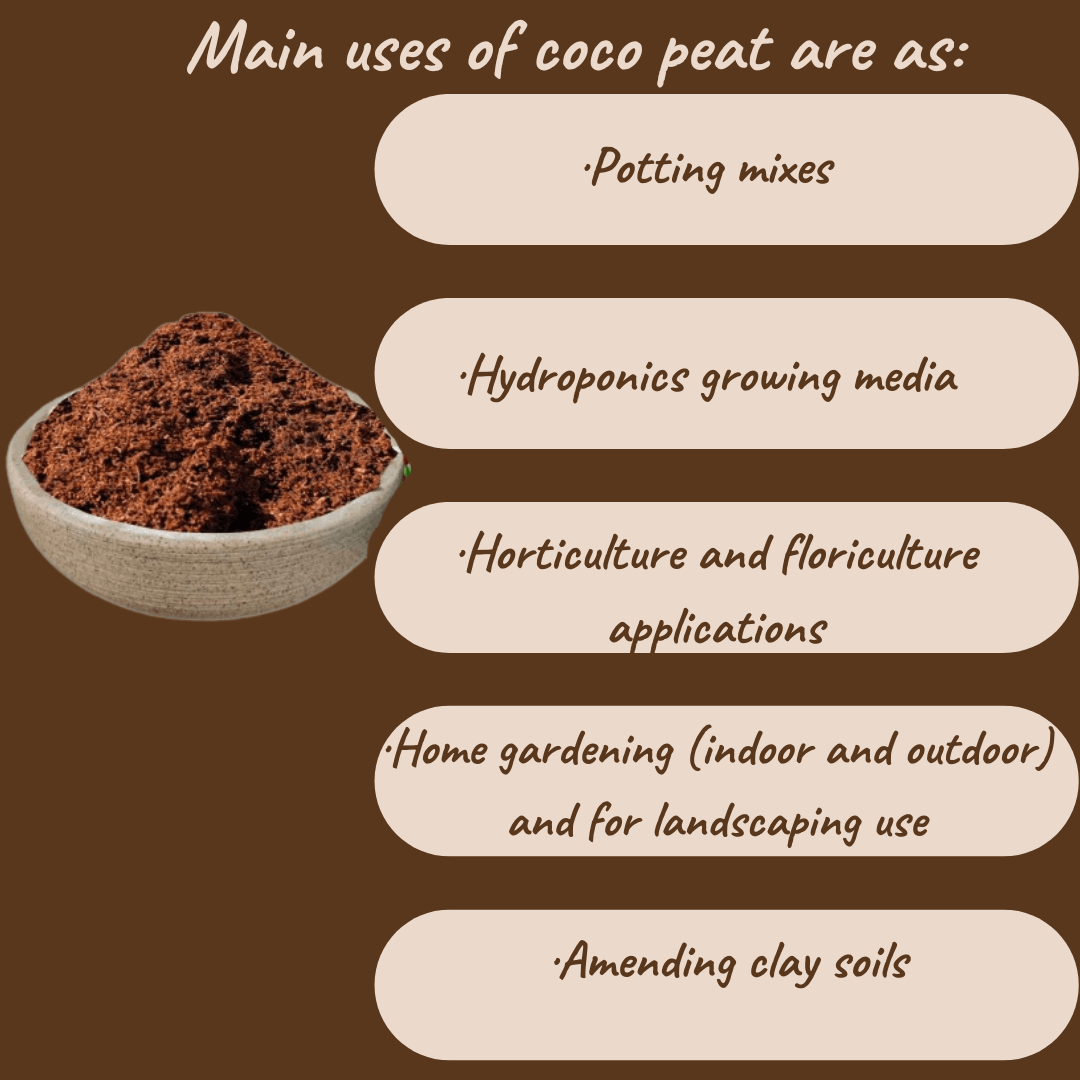 Coco Peat 2 kg – Organic Cocopeat for Seedlings & Seed Sowing Mix | Ready to Use Potting Soil & Potting Mix | Natural Soil Conditioner with Moisture Retention for Healthy Root Organic Growth | Ideal for Home Garden & Nursery Use Umbiz