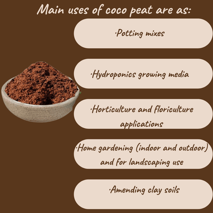 Coco Peat 2 kg – Organic Cocopeat for Seedlings & Seed Sowing Mix | Ready to Use Potting Soil & Potting Mix | Natural Soil Conditioner with Moisture Retention for Healthy Root Organic Growth | Ideal for Home Garden & Nursery Use Umbiz