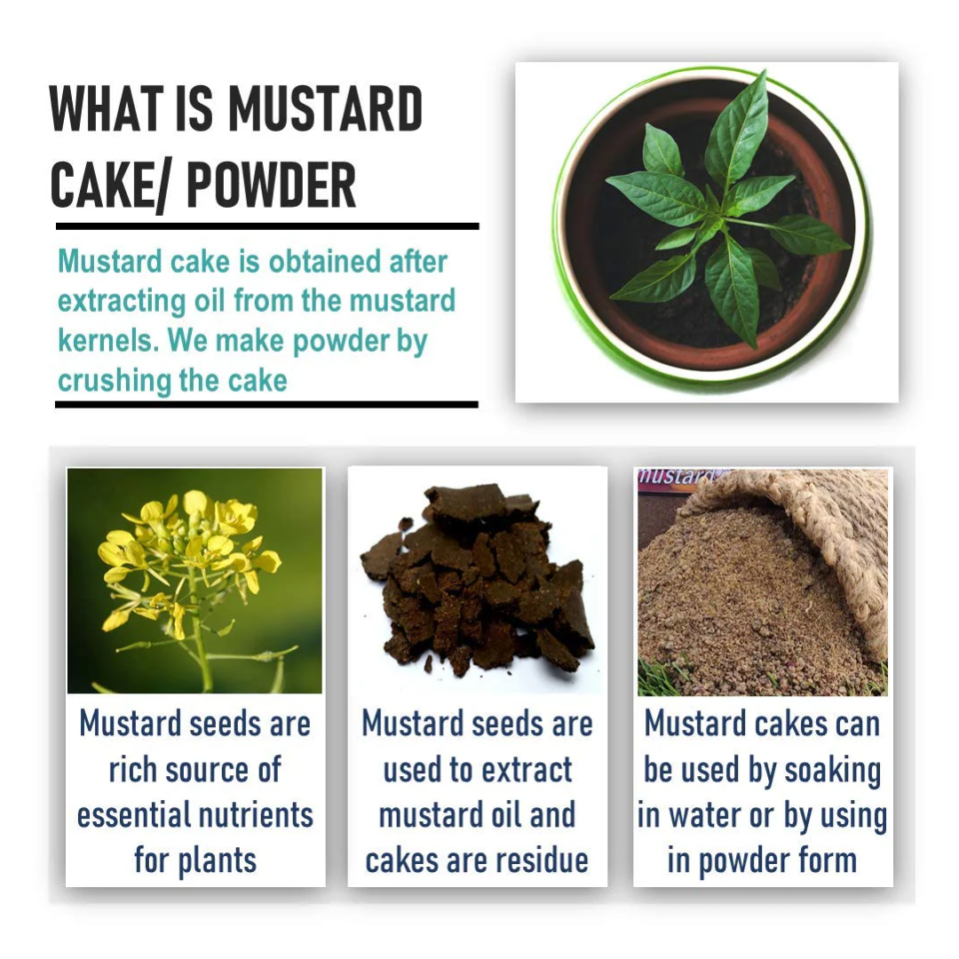 Mustard Cake Fertilizer - Organic Fertilizer For Plant Growth and Healthy Roots (1&5 Kg) Umbiz