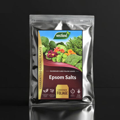 Westland Epsom Salt for Plants (500g) – Magnesium Sulfate for Healthier Plants, Greener Leaves, and Vibrant Blooms | Essential Nutrient Boost for Gardens and Houseplants Umbiz
