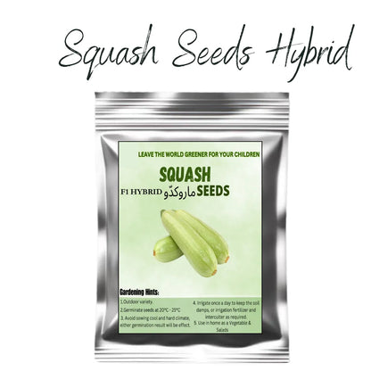 op Quality Fresh Hybrid Squash Seeds - Easy to Grow, High Nutrition Umbiz