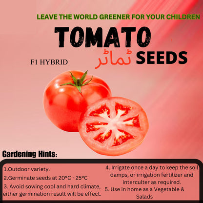 Top Quality Fresh Hybrid Tomato Seeds - Easy to Grow, High Nutrition Umbiz
