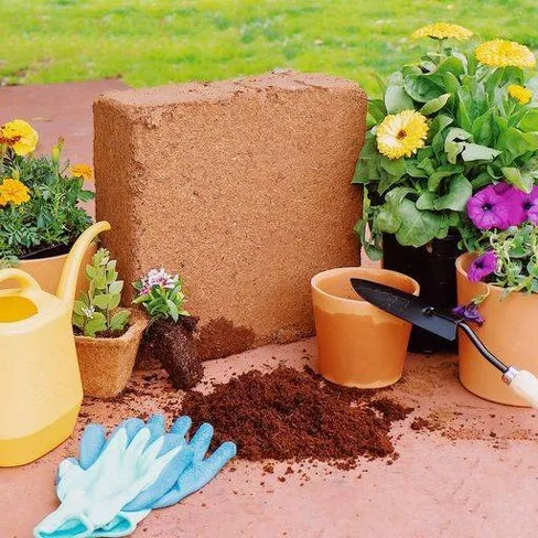 Coco Peat 1 Kg For Seed Sowing / Seedlings - Ready To Use Potting Mix / Potting Soil