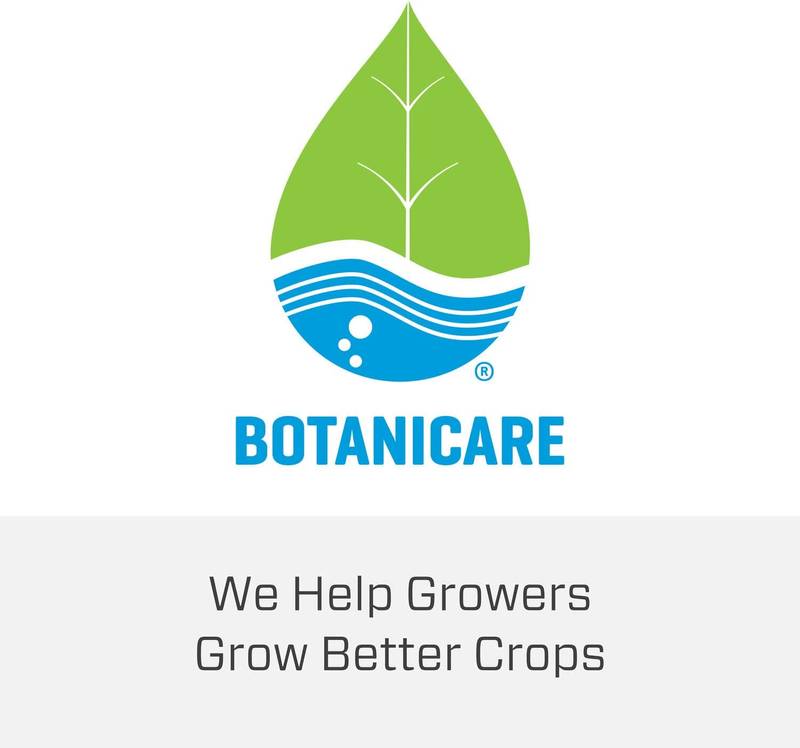 Hydroponics Cal-Mag Plus 1 Quart (USA Imported) A Calcium, Magnesium, And Iron Plant Supplement UMBIZ