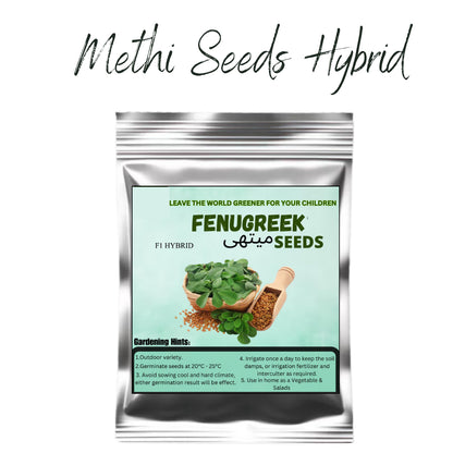 Top Quality Fresh Hybrid Fenugreek (Methi) Seeds - Easy to Grow, High Nutrition UMBIZ