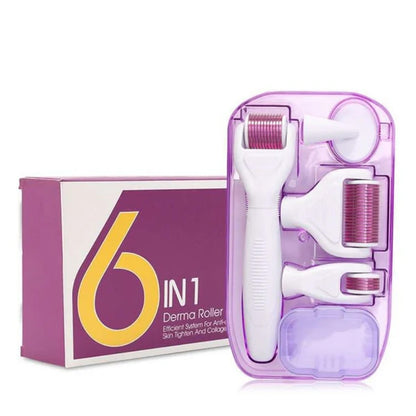 6 in 1 Derma Roller