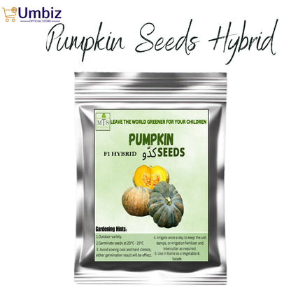 Top Quality Hybrid pumpkin Seeds - Easy to Grow, High Nutrition Umbiz